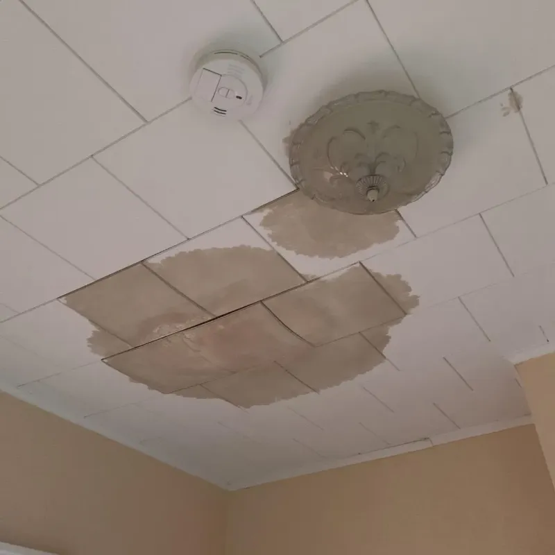 Ceiling Water Damage Repair in Lee County, IA