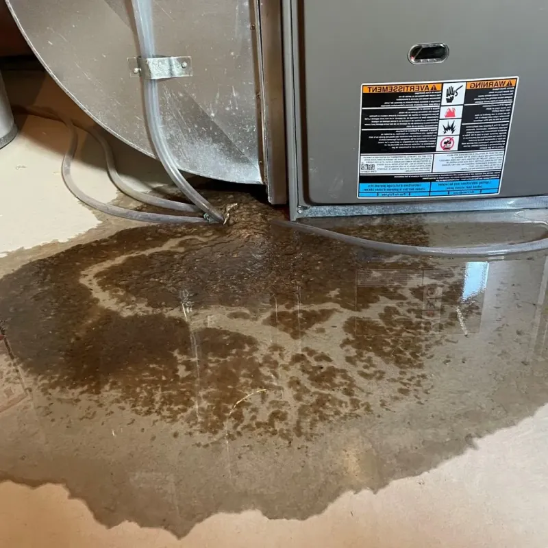 Pipe Burst and Leak Restoration in Lee County, IA