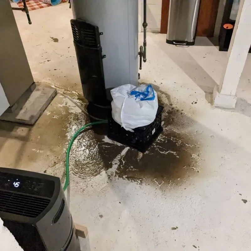 Sewage Backup Cleanup Service in Lee County, IA